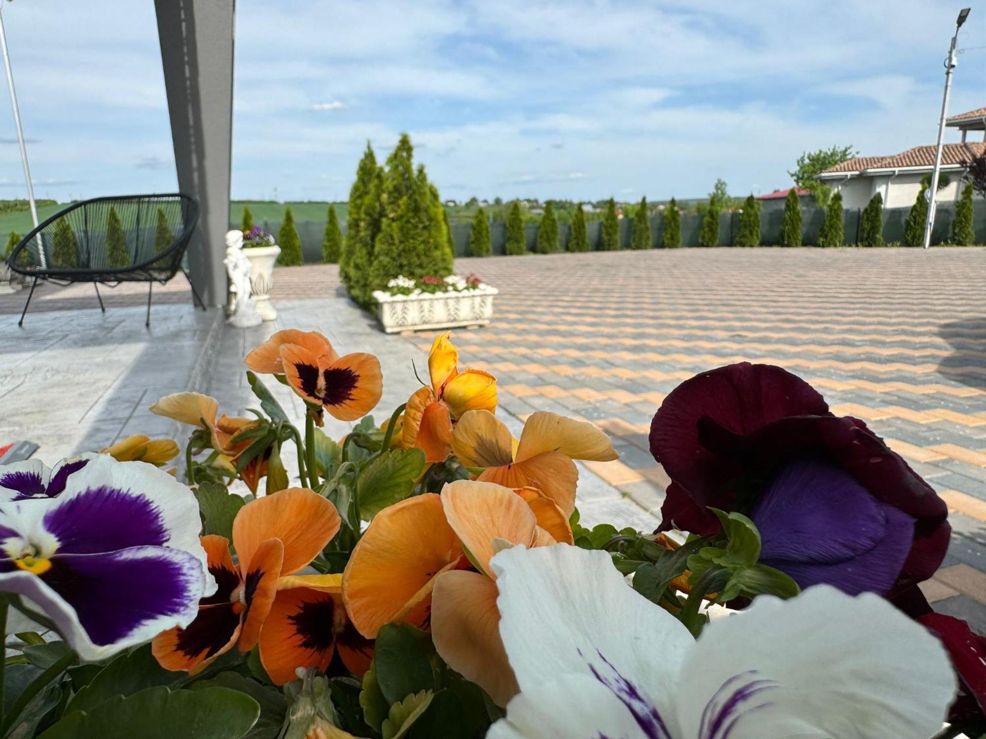 Stef Rooms Tirgu Frumos Экстерьер фото